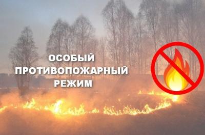 До 25 мая продлен особый противопожарный режим в Новосибирской области