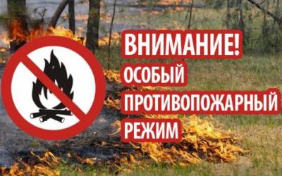  В Новосибирской области введен особый противопожарный режим