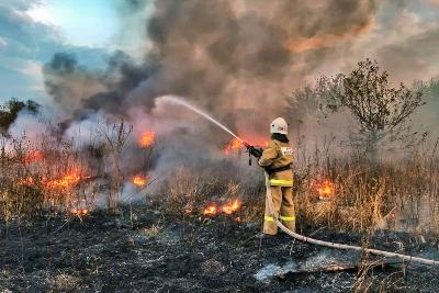 На территории Новосибирска продолжается пожароопасный период
