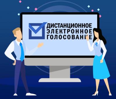 Жители Новосибирской области смогут поучаствовать в тестировании системы дистанционного голосования