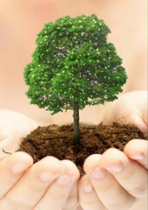 Акция 'Посади свое дерево'