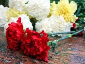В честь 70-летия победы в Курской битве в Кировском районе пройдет возложение цветов на мемориале 'Звезда' и в сквере 'Кедровый'