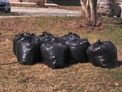 Активные и неравнодушные жители очистили территорию района от мусора