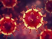 Меры личной профилактики гриппа, коронавирусной инфекции и других ОРВИ