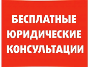 В Новосибирске юристы бесплатно проконсультируют по телефону