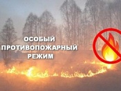 До 25 мая продлен особый противопожарный режим в Новосибирской области