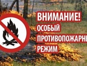  В Новосибирской области введен особый противопожарный режим