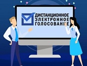 Жители Новосибирской области смогут поучаствовать в тестировании системы дистанционного голосования