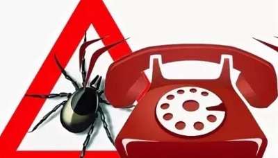 На «горячей линии» Роспотребнадзора можно обсудить клещевой энцефалит