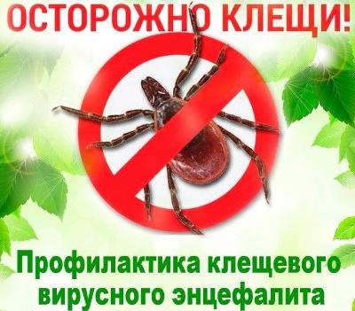Осторожно! Начался сезон активности клещей!