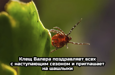Заманчивое предложение, конечно, но мы не рекомендуем