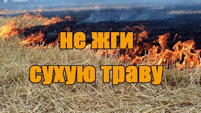 Пал травы опасен для человека и вреден окружающей среде