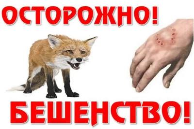 Карантин на два месяца ввели в Кировском районе