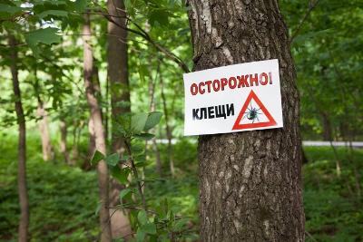 Осторожно, клещи!