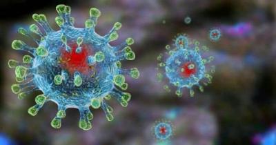 Профилактика гриппа и коронавирусной инфекции