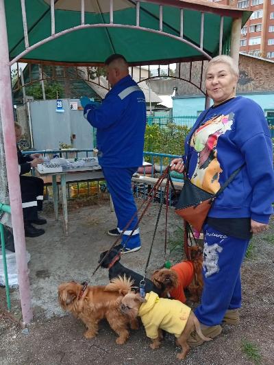 Бешенство — угроза, которую можно предотвратить!