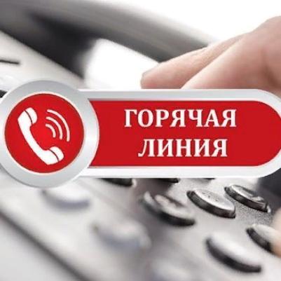 Роспотребнадзор открыл "горячую линию" по вопросам организации питания в школах