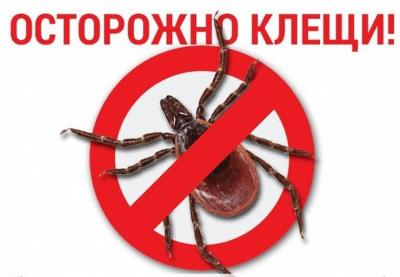 Как защититься от укуса клещей в лесу