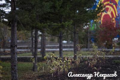Подведены итоги конкурса фотоквест «Знакомая незнакомая Кировка»
