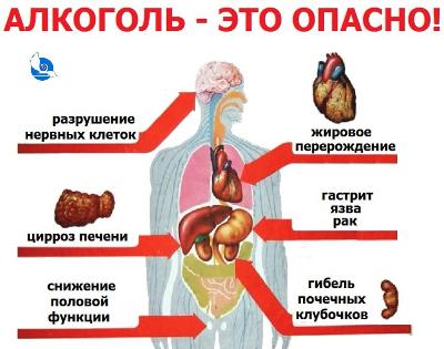 С 10 июня по 16 июня в России проходит неделя отказа от алкоголя