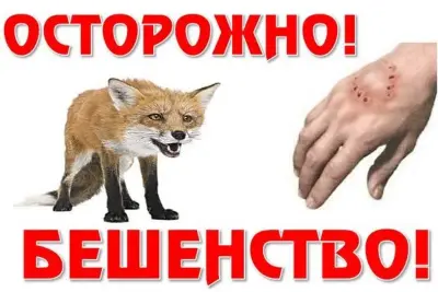 Карантин в Кировском районе