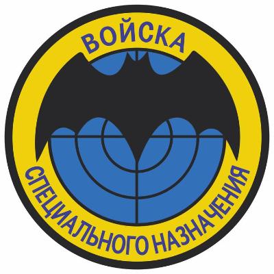 Служба в отряде специального назначения «Вега»