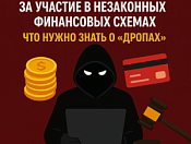 За незаконный оборот электронных средств платежа предусмотрена уголовная ответственность