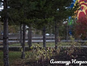 Подведены итоги конкурса фотоквест «Знакомая незнакомая Кировка»