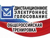 Жители Новосибирска и Новосибирской области смогут поучаствовать в тестировании системы дистанционного голосования