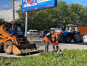 Дорожная практика переросла в успешную карьеру!