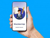 Мобильное приложение «Инспектор»