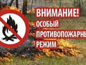 Пожароопасный период: главные правила безопасности
