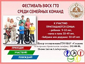 Областной фестиваль ВФСК «ГТО»  Среди семейных  команд
