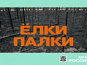 С 15 апреля на территории Новосибирской области установлен особый противопожарный режим!