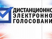 Началось тестовое дистанционное голосование