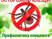 Профилактика клещевого энцефалита