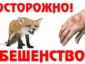 Карантин объявлен в Кировском районе