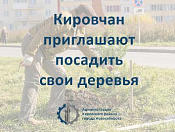 Посадить свои деревья предлагают кировчанам 