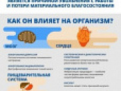 Алкоголь и здоровье подростка