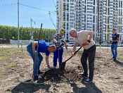 Озеленение района в 2025 году