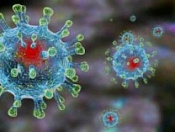 Профилактика гриппа и коронавирусной инфекции