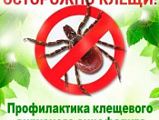 Осторожно! Начался сезон активности клещей!
