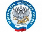 Каждый третий житель Новосибирской области пользуется личным кабинетом налогоплательщика