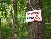 Осторожно, клещи!