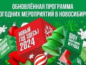Новый год к нам идет…
